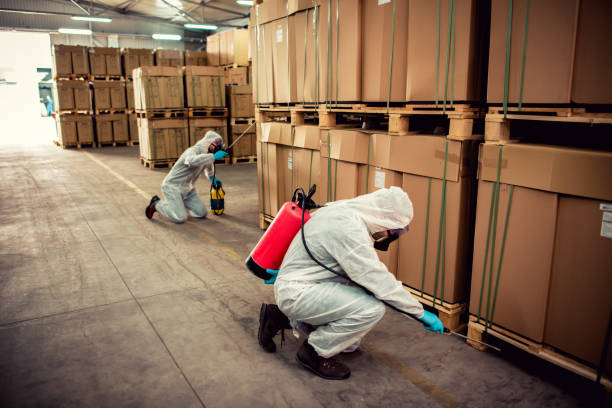 Best Wildlife Control Services  in Cumberland Head, NY