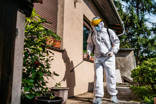 Best Mosquito Control Services  in Cumberland Head, NY