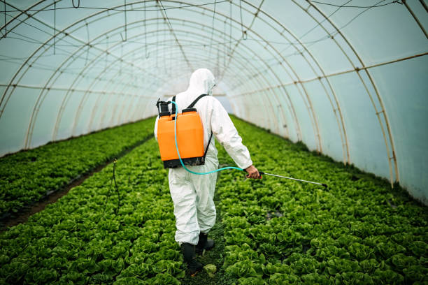 Best Best Pest Control Companies  in Cumberland Head, NY