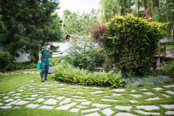 Best Pest Prevention Services  in Cumberland Head, NY