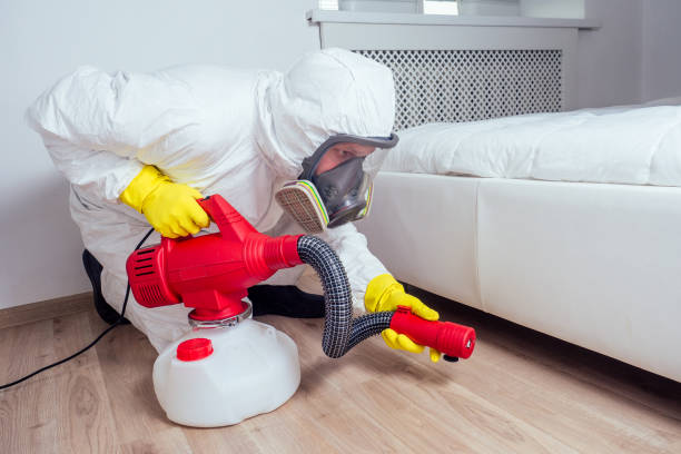 Best Pest Prevention Services  in Cumberland Head, NY