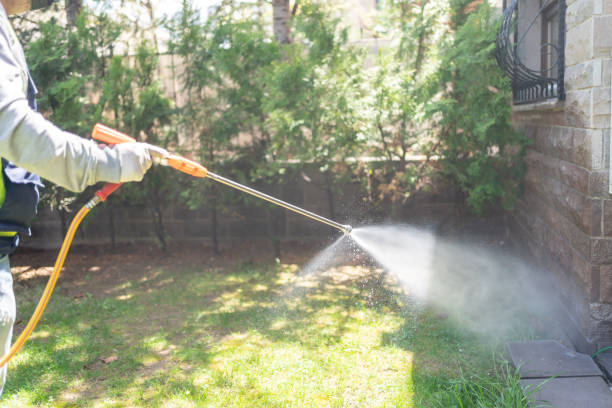 Best Pest Control Near Me in Cumberland Head, NY