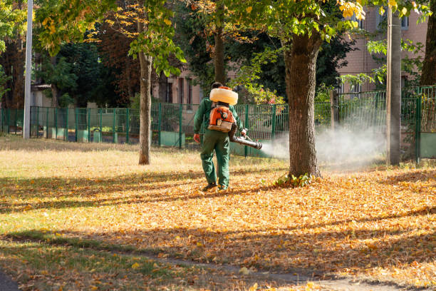 Best Pest Removal Services  in Cumberland Head, NY