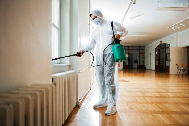 Best Cockroach Control Services  in Cumberland Head, NY