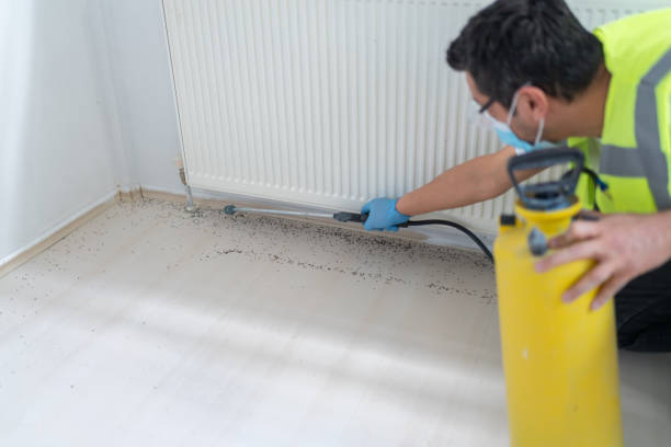 Best Pest Control Cost  in Cumberland Head, NY